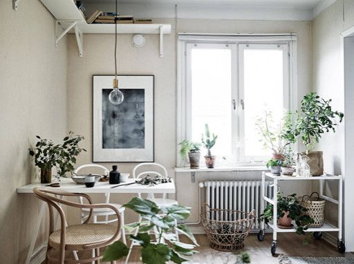 комнатные растения в скандинавском интерьере фото