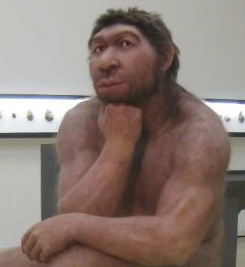 сидящий неандерталец фото