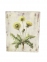 Картинка Польові квіти, картина в стиле Прованс F101043(A B C D) фд 0