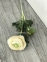 Цветок Ранункулус 1 ветка, 50 см, ткань (фд-2-219) 0
