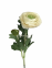 Цветок Ранункулус 1 ветка, 50 см, ткань (фд-2-219) 1