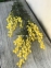 Штучна Мімоза гілка H 70 см, пластик жовтий 6