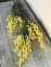 Штучна Мімоза гілка H 70 см, пластик жовтий 0