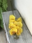 Букет Орхідея Фаленопсис 8 голів, 100 см, латекс, жовта, червона, фуксія (фд-350) 2
