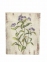 Картинка Польові квіти, картина в стиле Прованс F101043(A B C D) фд 2