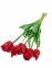 Букет Тюльпан кудрявий 3+2 голів, латекс (колір на вибір) 45 см (фд-35141) 10