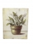 Картинка Квіти в горщику, картина в стиле Прованс F101025(A B) фд 2