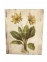 Картинка Польові квіти, картина в стиле Прованс F101043(A B C D) фд 3