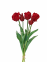 Букет Тюльпан кудрявий 3+2 голів, латекс (колір на вибір) 45 см (фд-35141) 0