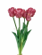 Букет Тюльпан кудрявий 3+2 голів, латекс люкс (колір на вибір) 45 см (фд-35141) 14