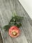 Квітка Ранункулус 1 гілка, 50 см, тканина (ФД-2-219) 2