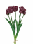 Букет Тюльпан кудрявий 3+2 голів, латекс (колір на вибір) 45 см (фд-35141) 12