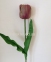 Тюльпан 1 голова Латекс (колір на вибір) 64 см 2