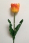 Тюльпан 1 голова Латекс (колір на вибір) 64 см 3