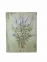 Картинка Польова травка, картина в стиле Прованс F101030(A B) фд 3
