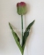 Тюльпан 1 голова Латекс (колір на вибір) 64 см 6