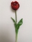 Тюльпан 1 голова Латекс (колір на вибір) 64 см 8